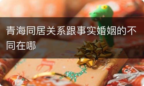 青海同居关系跟事实婚姻的不同在哪