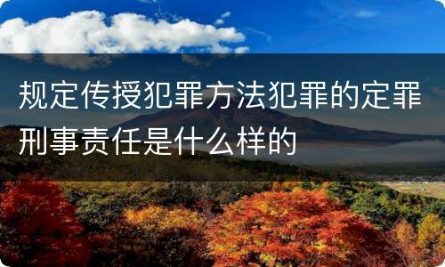 规定传授犯罪方法犯罪的定罪刑事责任是什么样的