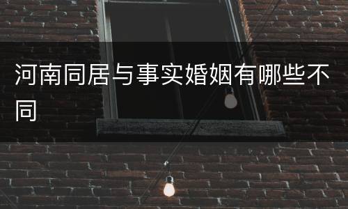 河南同居与事实婚姻有哪些不同