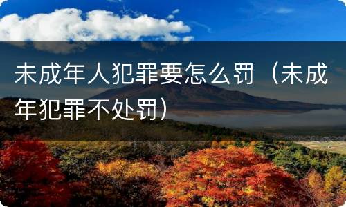 未成年人犯罪要怎么罚（未成年犯罪不处罚）