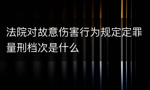 法院对故意伤害行为规定定罪量刑档次是什么