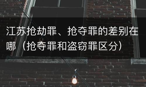 江苏抢劫罪、抢夺罪的差别在哪（抢夺罪和盗窃罪区分）