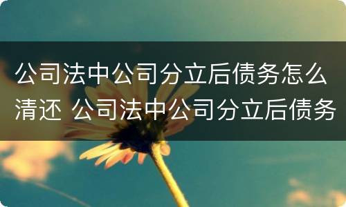 公司法中公司分立后债务怎么清还 公司法中公司分立后债务怎么清还