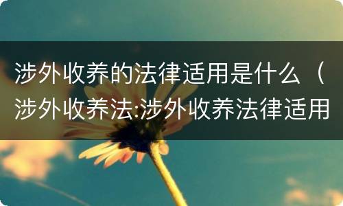 涉外收养的法律适用是什么（涉外收养法:涉外收养法律适用是怎么规定的）