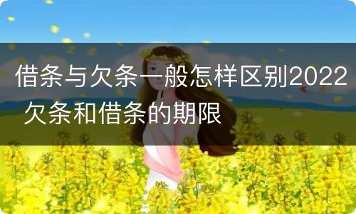 借条与欠条一般怎样区别2022 欠条和借条的期限