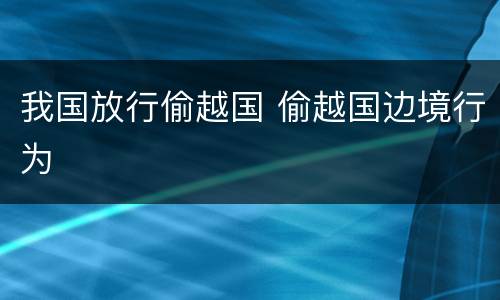 我国放行偷越国 偷越国边境行为