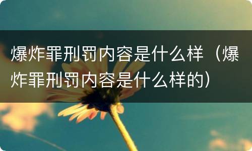 爆炸罪刑罚内容是什么样（爆炸罪刑罚内容是什么样的）