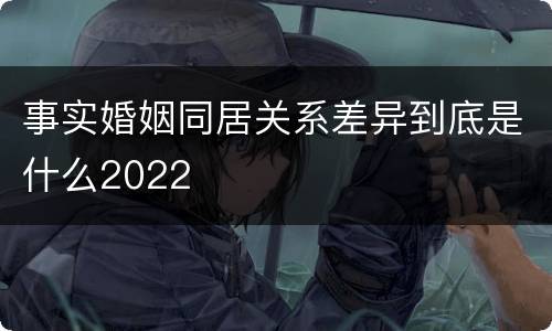事实婚姻同居关系差异到底是什么2022