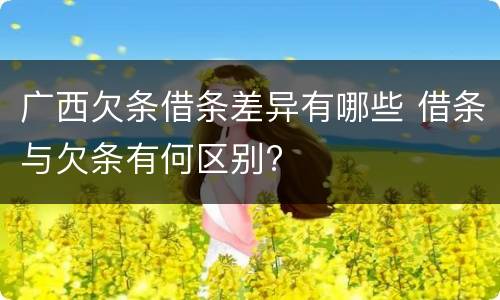 广西欠条借条差异有哪些 借条与欠条有何区别?