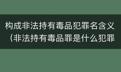 构成非法持有毒品犯罪名含义（非法持有毒品罪是什么犯罪类型）