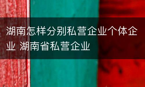 湖南怎样分别私营企业个体企业 湖南省私营企业