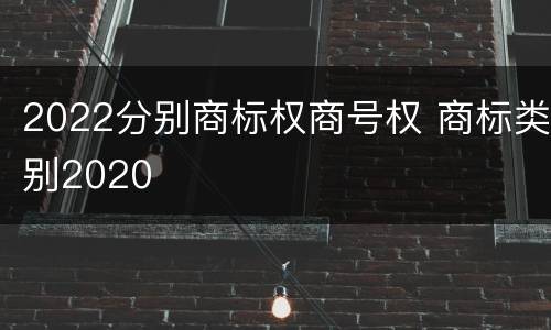 2022分别商标权商号权 商标类别2020