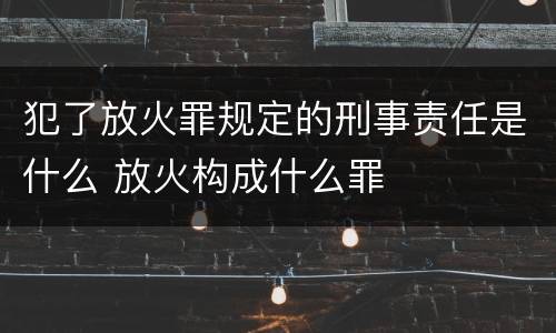 犯了放火罪规定的刑事责任是什么 放火构成什么罪