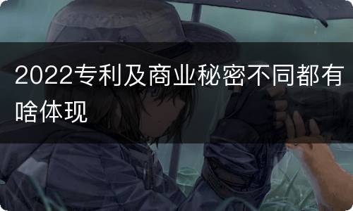 2022专利及商业秘密不同都有啥体现