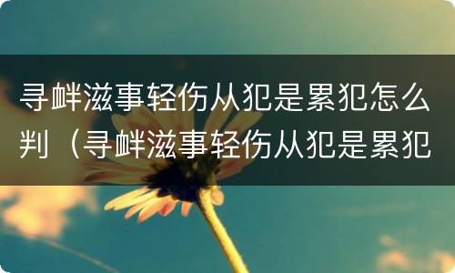 寻衅滋事轻伤从犯是累犯怎么判（寻衅滋事轻伤从犯是累犯怎么判的）