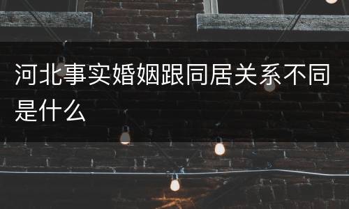 河北事实婚姻跟同居关系不同是什么