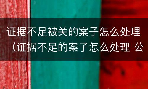 证据不足被关的案子怎么处理（证据不足的案子怎么处理 公安机关）
