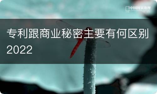 专利跟商业秘密主要有何区别2022