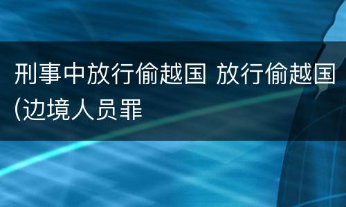 刑事中放行偷越国 放行偷越国(边境人员罪