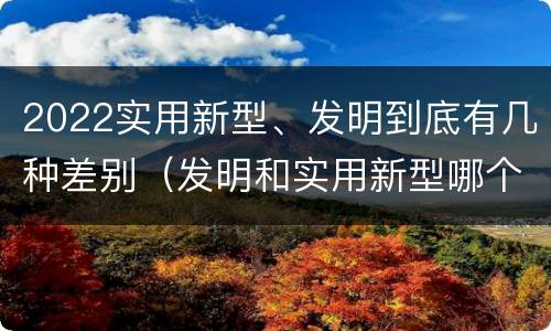 2022实用新型、发明到底有几种差别（发明和实用新型哪个好）