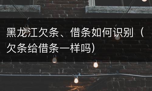 黑龙江欠条、借条如何识别（欠条给借条一样吗）