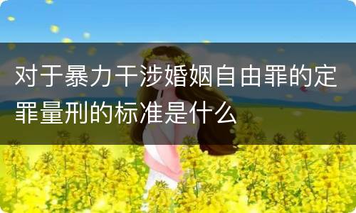 对于暴力干涉婚姻自由罪的定罪量刑的标准是什么
