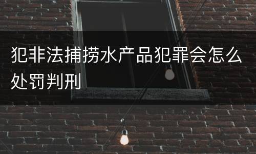 犯非法捕捞水产品犯罪会怎么处罚判刑