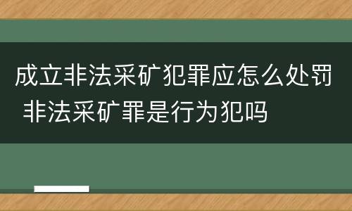 成立非法采矿犯罪应怎么处罚 非法采矿罪是行为犯吗