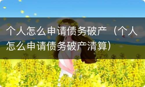 个人怎么申请债务破产（个人怎么申请债务破产清算）