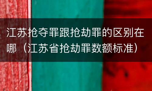 江苏抢夺罪跟抢劫罪的区别在哪（江苏省抢劫罪数额标准）