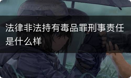 法律非法持有毒品罪刑事责任是什么样