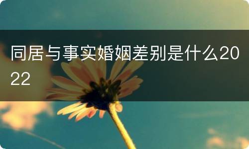 同居与事实婚姻差别是什么2022