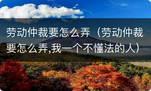 劳动仲裁要怎么弄（劳动仲裁要怎么弄,我一个不懂法的人）