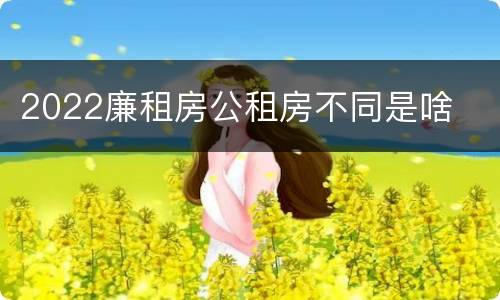 2022廉租房公租房不同是啥