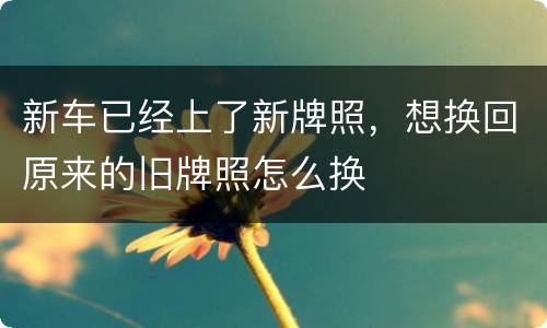 新车已经上了新牌照，想换回原来的旧牌照怎么换