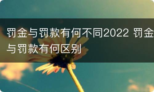 罚金与罚款有何不同2022 罚金与罚款有何区别