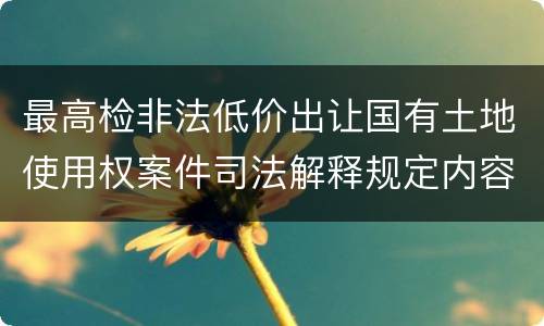 最高检非法低价出让国有土地使用权案件司法解释规定内容是什么