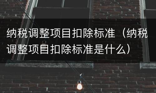 纳税调整项目扣除标准（纳税调整项目扣除标准是什么）