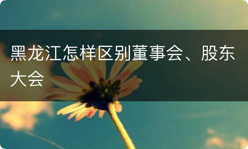 黑龙江怎样区别董事会、股东大会