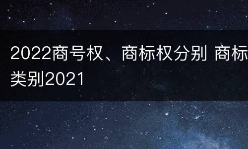 2022商号权、商标权分别 商标类别2021