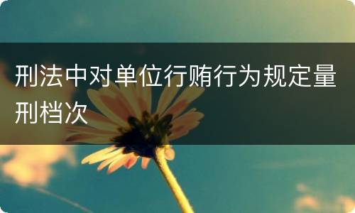 刑法中对单位行贿行为规定量刑档次