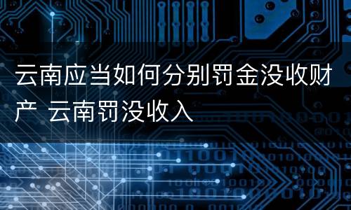 云南应当如何分别罚金没收财产 云南罚没收入
