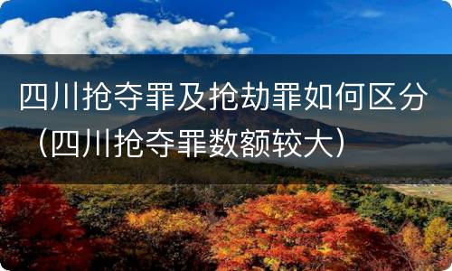四川抢夺罪及抢劫罪如何区分（四川抢夺罪数额较大）