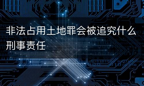 非法占用土地罪会被追究什么刑事责任