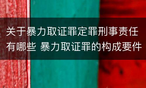 关于暴力取证罪定罪刑事责任有哪些 暴力取证罪的构成要件
