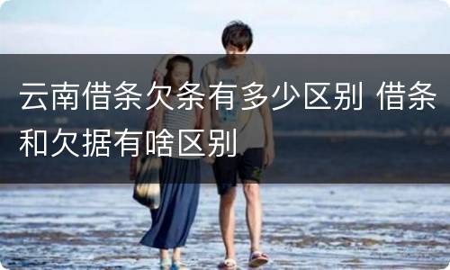 云南借条欠条有多少区别 借条和欠据有啥区别