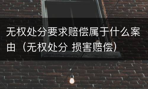 无权处分要求赔偿属于什么案由（无权处分 损害赔偿）