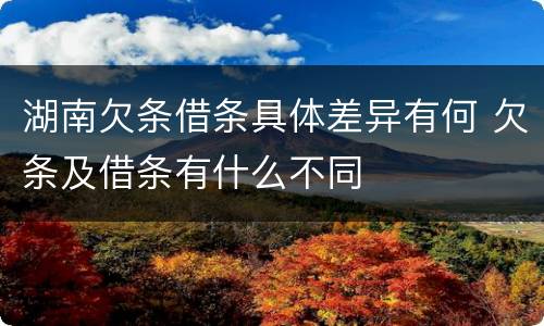 湖南欠条借条具体差异有何 欠条及借条有什么不同