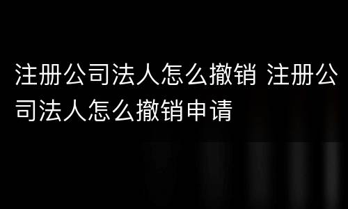 注册公司法人怎么撤销 注册公司法人怎么撤销申请