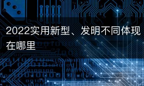 2022实用新型、发明不同体现在哪里